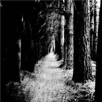 Instant Buy Stray Theories - Falter – A1 Have It All A2 Departure A3 Catalyst A4 The Faded B1 Reverie B2 After The Fall B3A… (N5md / MD336) [Pre-Order] | Redeye Records