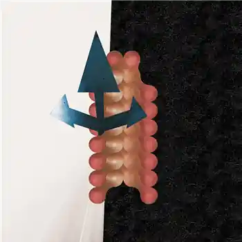 Limited Time Wata Igarashi & Polygonia - Cross Passage – 1 Wata Igarashi & Polygonia - Cross Passage2 Wata Igarashi & Polygonia - Fibre Axis… (Reclaim Your City / RYCL024) | Redeye Records