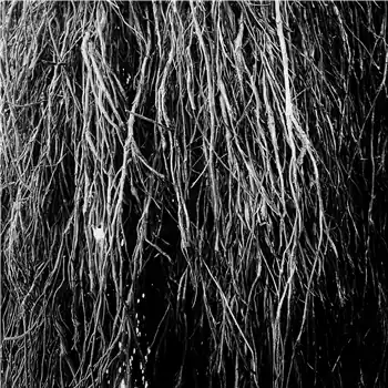Eraldo Bernocchi, Iggor Cavalera, & Merzbow - Nocturnal Rainforest – Swietenia Macrophylla / Ceiba Pentandra : PAN (***NOTE : THIS IS A PRE-ORDER ITEM***) (Pan / PAN154LP) [Pre-Order] | Redeye Records Reduced Price