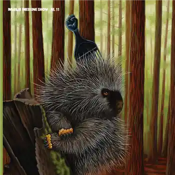 Madlib Medicine Show Vol. 11 - Low Budget High Fi Music – Madlib - Sounds Of The Studio (Prelude) / The Professionals - Hold Up / Madlib - Handma… (Madlib Invasion / MMS011-LP) [Pre-Order] | Redeye Records Money Back Guarantee