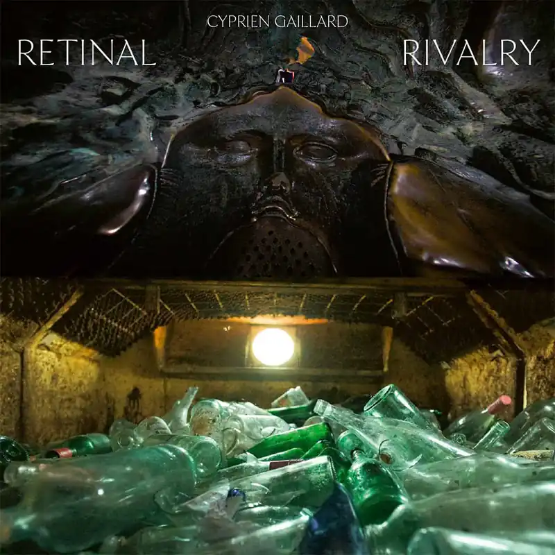 CYPRIEN GAILLARD - Retinal Rivalry (Original Score) - LP - Picture Dis Mega Sale